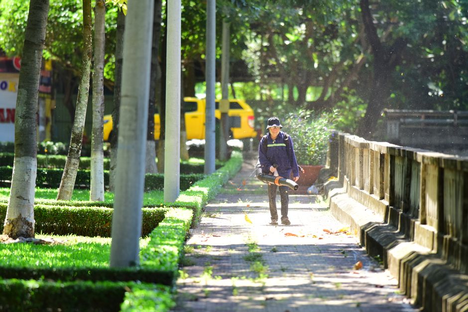 A person is seen walking along a paved pathway in a park or residential area while using a leaf blower to clear fallen leaves and debris from the sidewalk. The individual is dressed in a dark blue jacket, dark trousers, and wearing protective goggles and gloves. In the background, there are several evenly spaced trees with slender trunks and lush green foliage, as well as a neatly trimmed hedge bordering the path. Two yellow vehicles are parked farther along the roadside, partially obscured by the trees. To the right of the pathway, a weathered wooden railing runs parallel, separating the sidewalk from a slightly lower area or street. The scene is illuminated by bright natural sunlight, casting soft shadows and creating a vibrant, clean atmosphere. The image conveys outdoor maintenance work, which aligns with services such as rubbish and garden waste removal provided by companies like Rubbish Removal Hackney, highlighting the importance of on-site clearance and clean urban or residential spaces visually evident in the scene.
